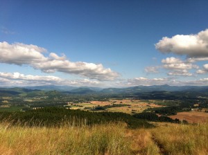 IMG_0984