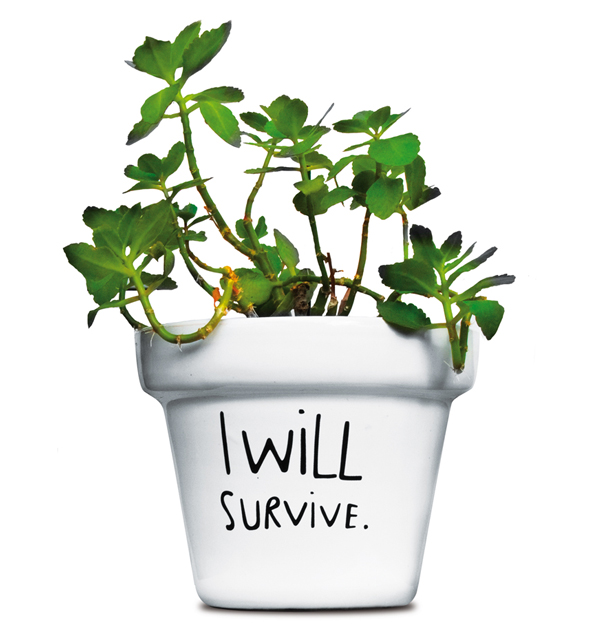 i-will-survive-plant-pot-swissmiss