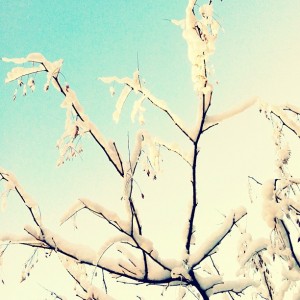 snowcap