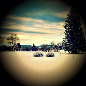 snowglobe